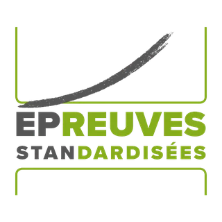 Logo der Épreuves Standardisées (ÉPSTAN) aus Luxemburg in Grau und Grün